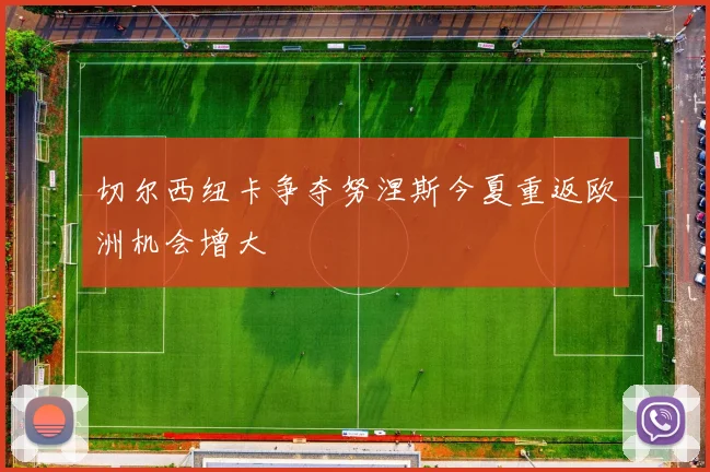 切尔西纽卡争夺努涅斯今夏重返欧洲机会增大